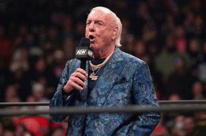 Ric Flair Net Worthgrftyu6