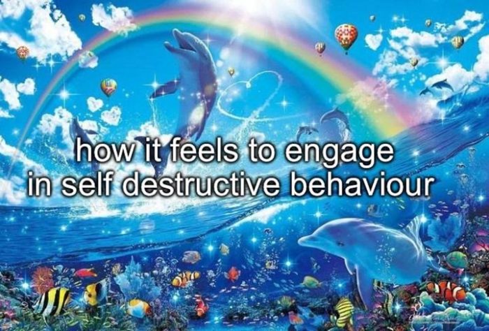 fiasal e1745841958746