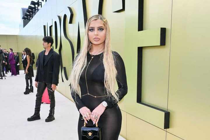 mandana bolourchi net worth