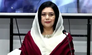 Dr. Zubaida Rahman net worth